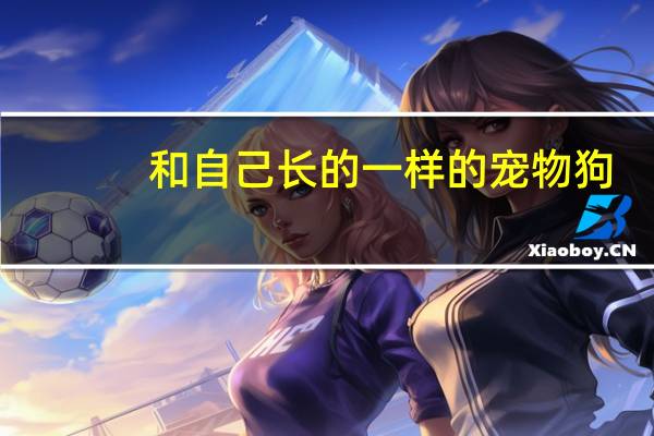 和自己长的一样的宠物狗