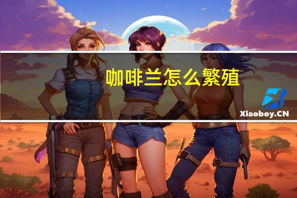 咖啡兰怎么繁殖