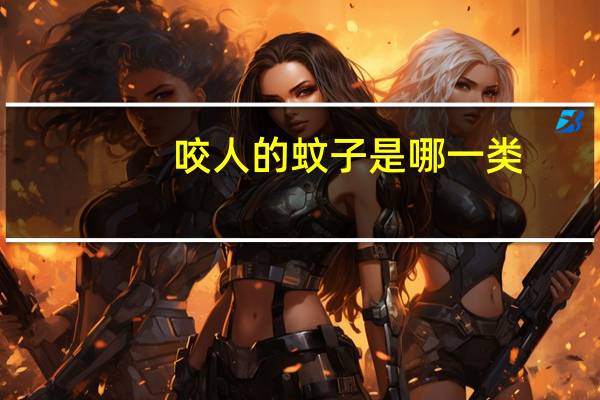 咬人的蚊子是哪一类（咬人的蚊子）