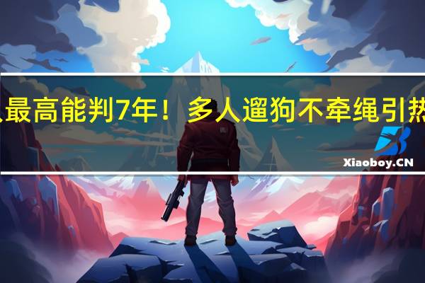 咬伤女孩 狗主人最高能判7年！多人遛狗不牵绳引热议 宝妈带铁扳手防身