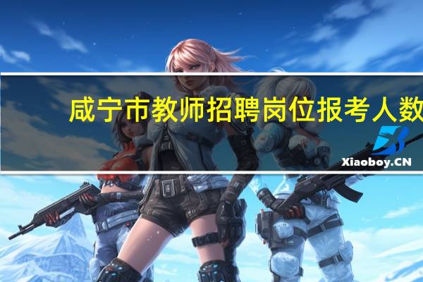 咸宁市教师招聘岗位报考人数