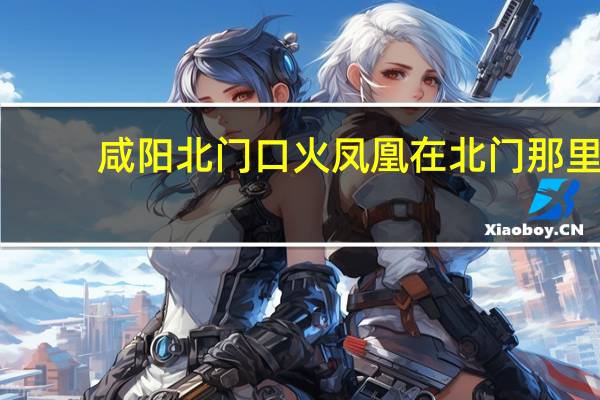 咸阳北门口火凤凰在北门那里