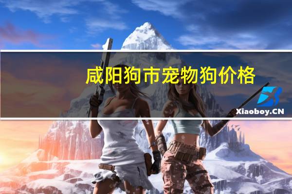 咸阳狗市宠物狗价格