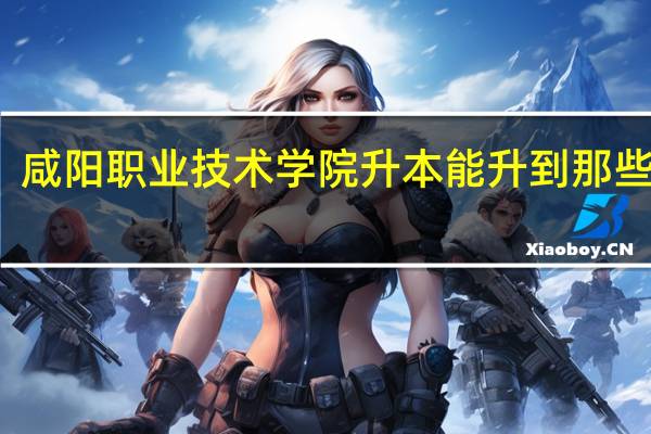 咸阳职业技术学院升本能升到那些学校