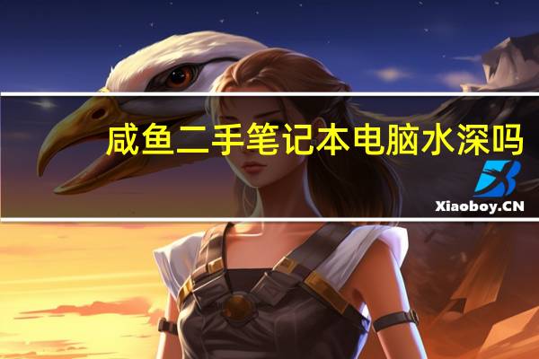 咸鱼二手笔记本电脑水深吗