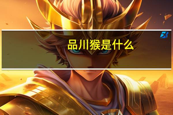 品川猴是什么