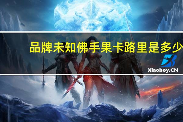 品牌未知 佛手果卡路里是多少