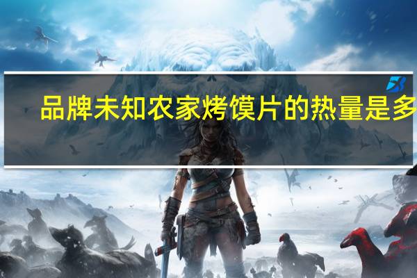 品牌未知 农家烤馍片的热量是多少