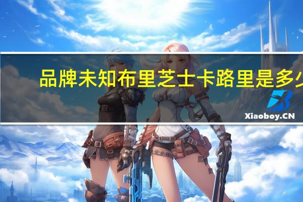 品牌未知 布里芝士卡路里是多少