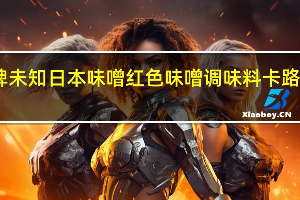 品牌未知 日本味噌红色味噌调味料卡路里是多少