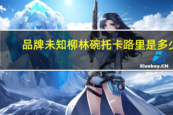 品牌未知 柳林碗托卡路里是多少
