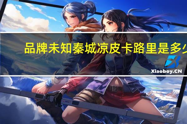 品牌未知 秦城凉皮卡路里是多少