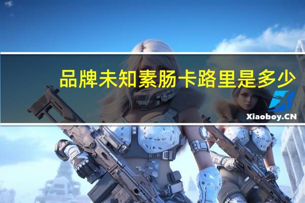 品牌未知 素肠卡路里是多少