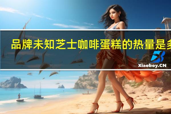 品牌未知 芝士咖啡蛋糕的热量是多少