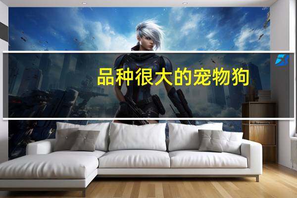 品种很大的宠物狗