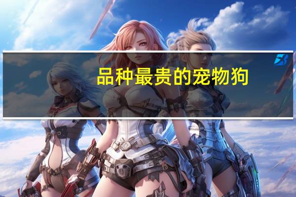 品种最贵的宠物狗