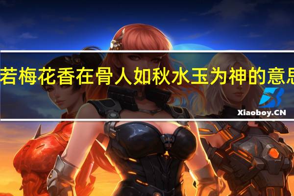 品若梅花香在骨人如秋水玉为神的意思是什么