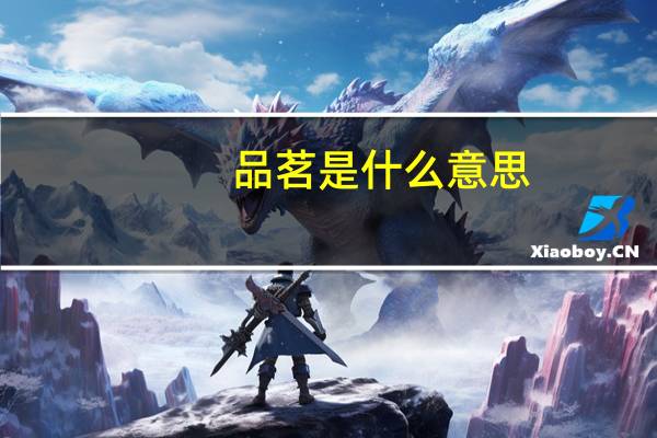 品茗是什么意思