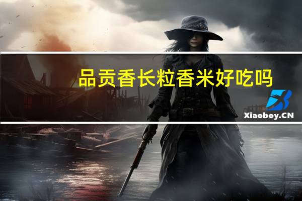 品贡香长粒香米好吃吗