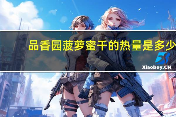 品香园 菠萝蜜干的热量是多少