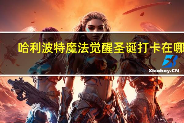 哈利波特魔法觉醒圣诞打卡在哪里-圣诞打卡景点位置一览