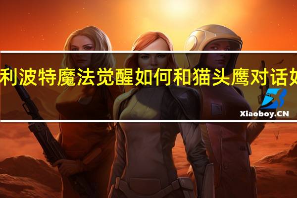 哈利波特魔法觉醒如何和猫头鹰对话如何获取-如何和猫头鹰对话获取方法一览