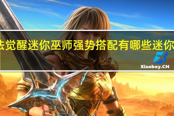 哈利波特魔法觉醒迷你巫师强势搭配有哪些 迷你巫师强势搭配攻略