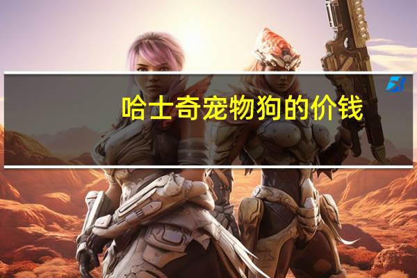 哈士奇宠物狗的价钱