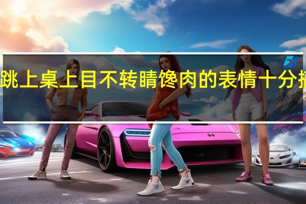 哈士奇跳上桌上目不转睛馋肉的表情十分搞笑 怎么回事