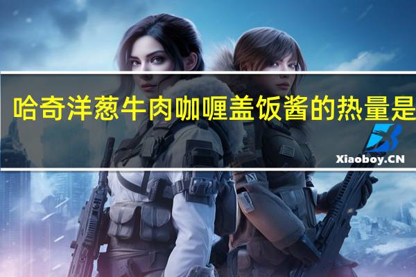 哈奇 洋葱牛肉咖喱盖饭酱的热量是多少