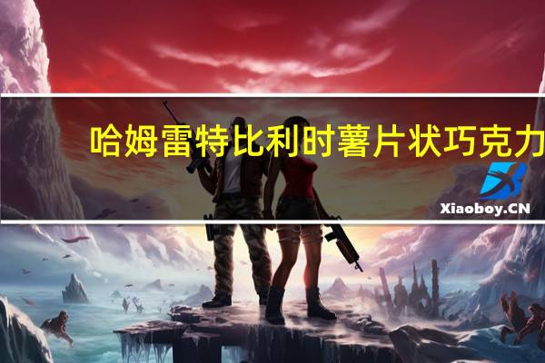 哈姆雷特 比利时 薯片状巧克力(橙子)卡路里是多少