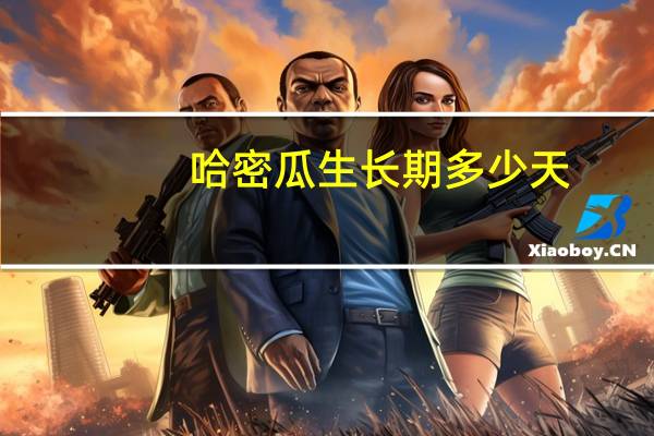 哈密瓜生长期多少天