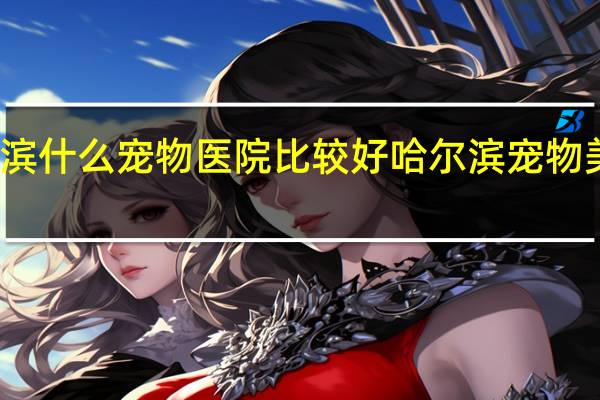 哈尔滨什么宠物医院比较好 哈尔滨宠物美容师培训
