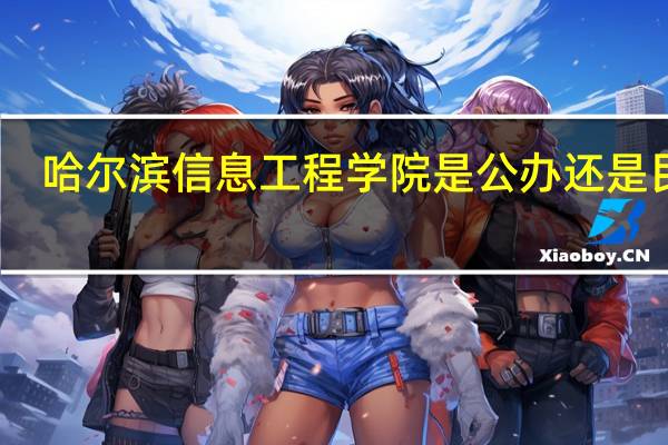 哈尔滨信息工程学院是公办还是民办