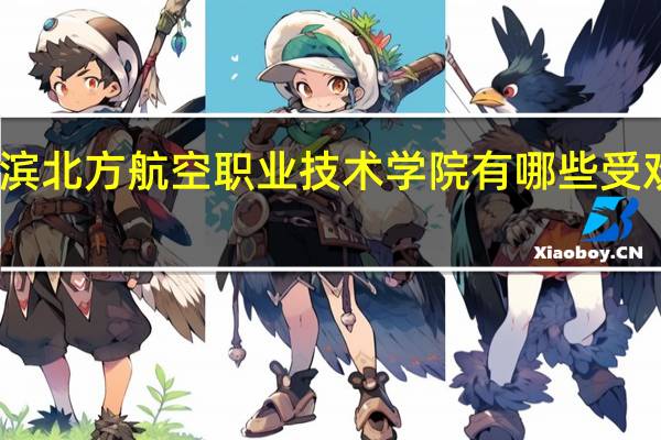 哈尔滨北方航空职业技术学院有哪些受欢迎的专业