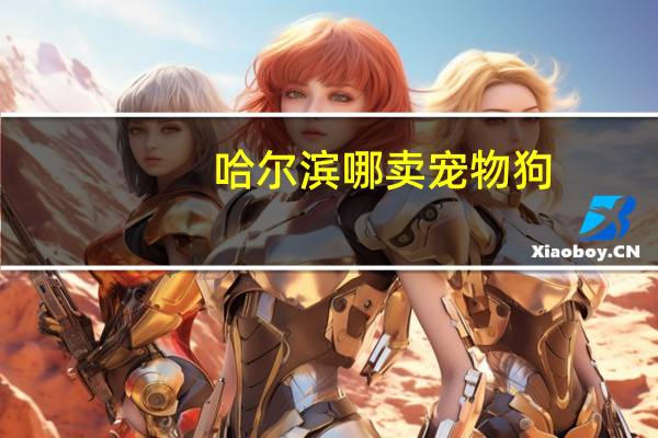 哈尔滨哪卖宠物狗