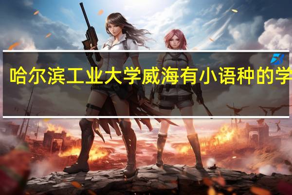 哈尔滨工业大学威海有小语种的学习吗