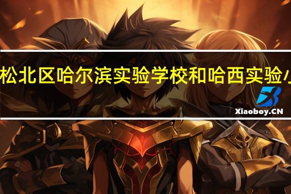 哈尔滨松北区哈尔滨实验学校和哈西实验小学哪个好啊