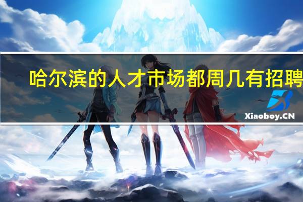 哈尔滨的人才市场都周几有招聘会