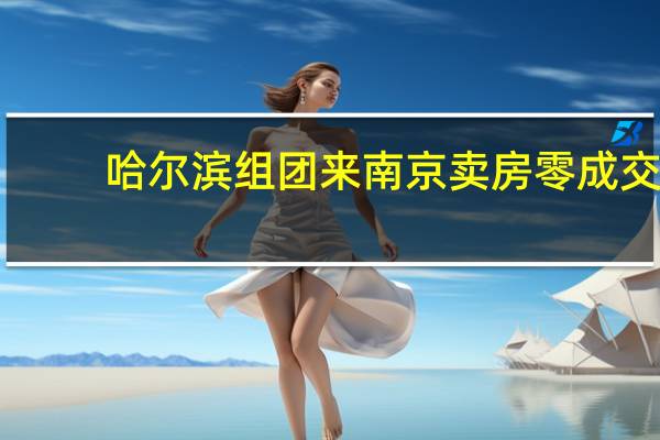 哈尔滨组团来南京卖房零成交?知情人:城际间常规交流学习卖房非主要目的
