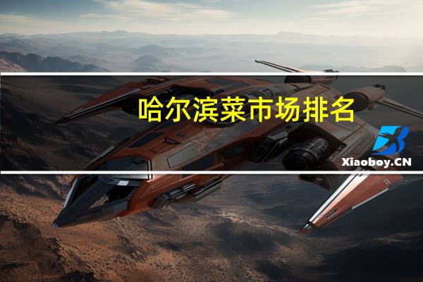 哈尔滨菜市场排名
