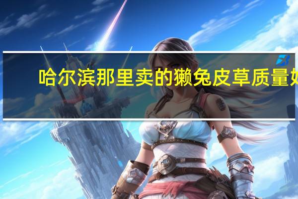 哈尔滨那里卖的獭兔皮草质量好。还便宜