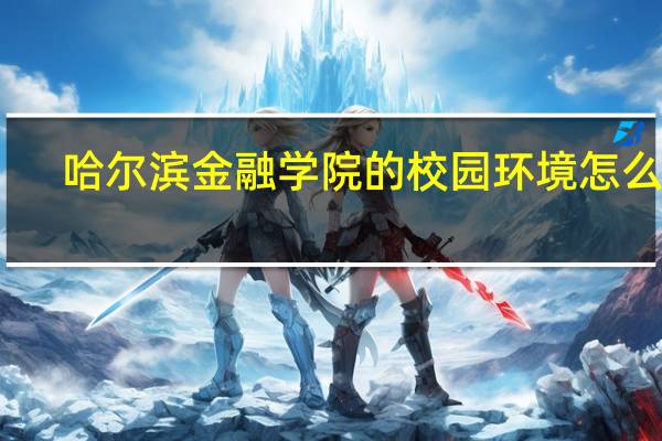 哈尔滨金融学院的校园环境怎么样
