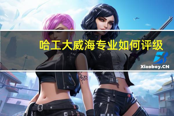 哈工大威海专业如何评级