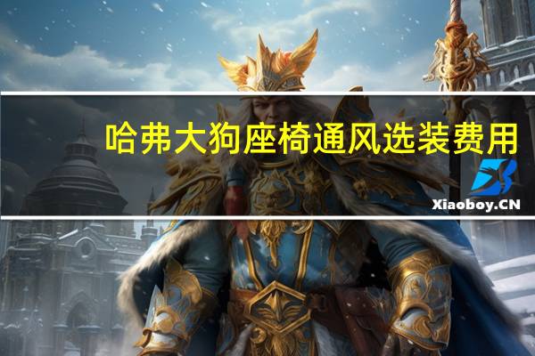 哈弗大狗座椅通风选装费用