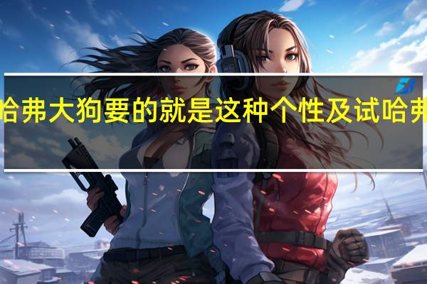 哈弗大狗要的就是这种个性及试哈弗大狗1.5T马犬版