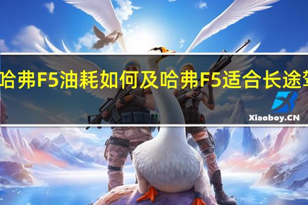 哈弗F5油耗如何及哈弗F5适合长途驾驶吗