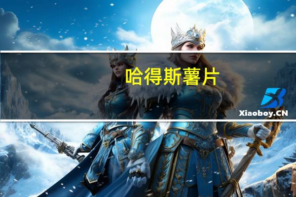 哈得斯 薯片(切达奶酪洋葱味)的热量是多少