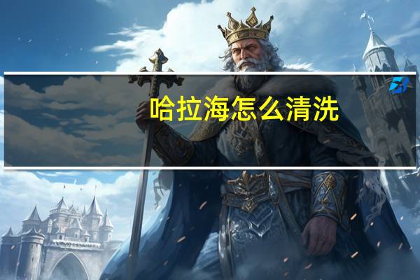 哈拉海怎么清洗