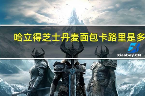 哈立得 芝士丹麦面包卡路里是多少